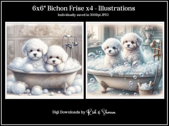 Bichon Frise Puppies X4 Illustrations: Adorable Designs for Your Projects
