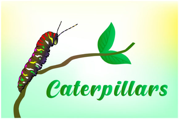 Caterpillars Hand Drawn Illustrations: A Creative Toolkit