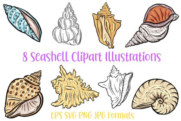 Seaside Charm in Every Detail: 8 Seashell Clipart Illustrations