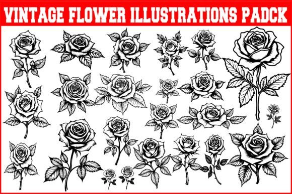 Timeless Beauty: A Guide to the Vintage Flower Illustrations Pack