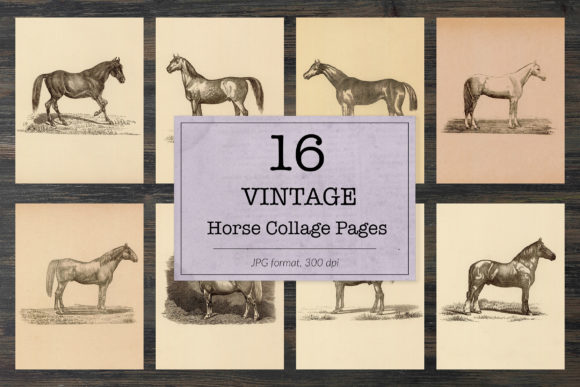 Timeless Equestrian Art: A Guide to Vintage Horse Illustrations