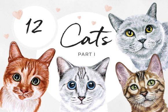 Unleashing Feline Charm: The Watercolor Cat Illustrations Set